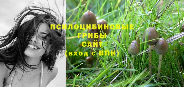 винт Богданович