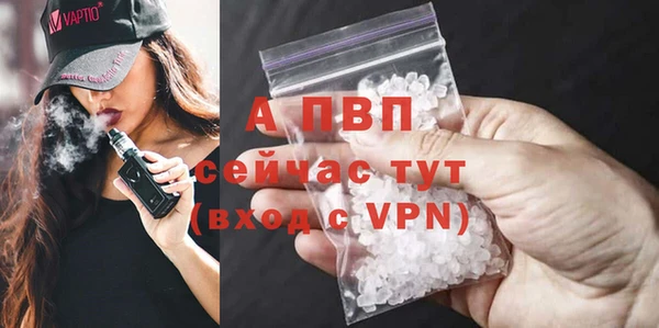винт Богданович